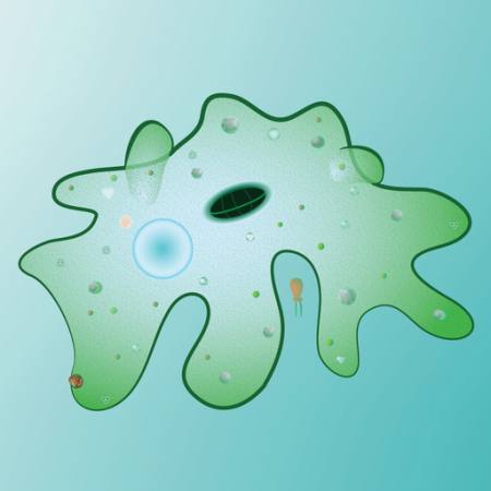 sejt, sejtekből álló, zöld, nyálkás, maszatolás Designua - Dreamstime
