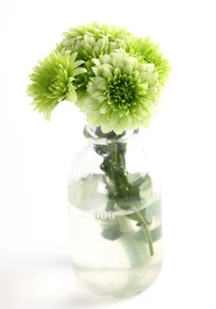 üzem, virág, zöld, víz, cső, váza Kerstin Aust - Dreamstime