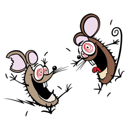 egér, egerek, őrült, boldog, két Donald Purcell - Dreamstime