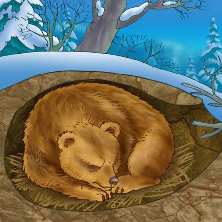 medve, tél, alvás, hideg, természet Alexander Kukushkin - Dreamstime