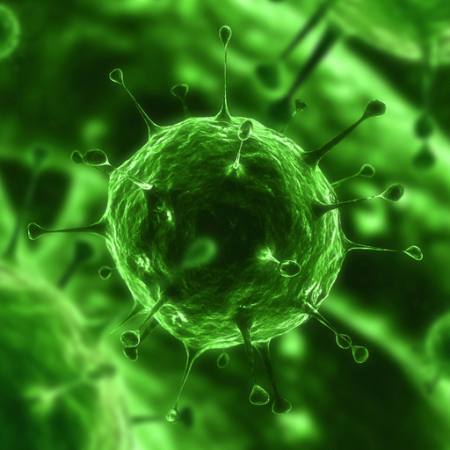 baktérium, vírus, rovar, betegség, sejt Sebastian Kaulitzki - Dreamstime