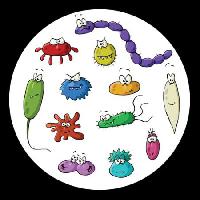 rovarok, mikroszkóp, iszap, vírus Dedmazay - Dreamstime