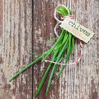 snidling, zöld, növény, zöldség, zöldség, címke, fából stockcreations