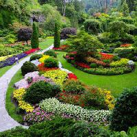 kert, virágok, színek, zöld Photo168 - Dreamstime