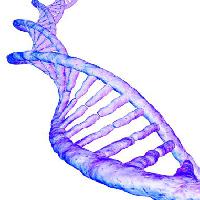 ADN, gén, az emberi, vér, mályva Sebastian Kaulitzki - Dreamstime