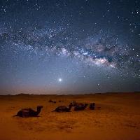 ég, éjszaka, , sivatag, tevék, csillagok, hold Valentin Armianu (Asterixvs)