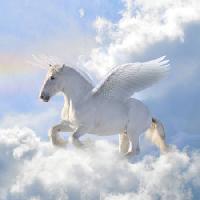 Pixwords A képet ló, felhők, fly, szárnyak Viktoria Makarova - Dreamstime