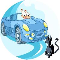 autót, meghajtó, macska, állat Verzhh