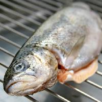 hal, állati, grill, élelmiszer Savin-sorin Matei-contescu (Mateisavin)