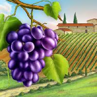 Pixwords A képet szőlő, udvar, zöld, levél, szőlő, farm Andreus - Dreamstime
