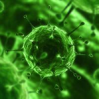 Pixwords A képet baktérium, vírus, rovar, betegség, sejt Sebastian Kaulitzki - Dreamstime